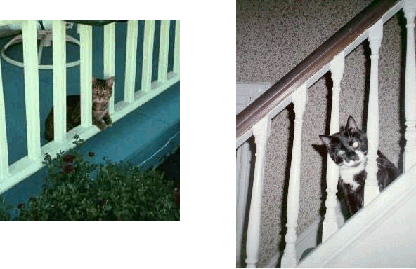 Pip Squeak and Milano