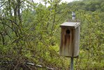 Birdhouse 2