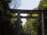 Torii